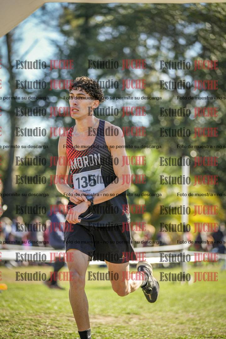 Fotos de la llegada del cross de 8000 m