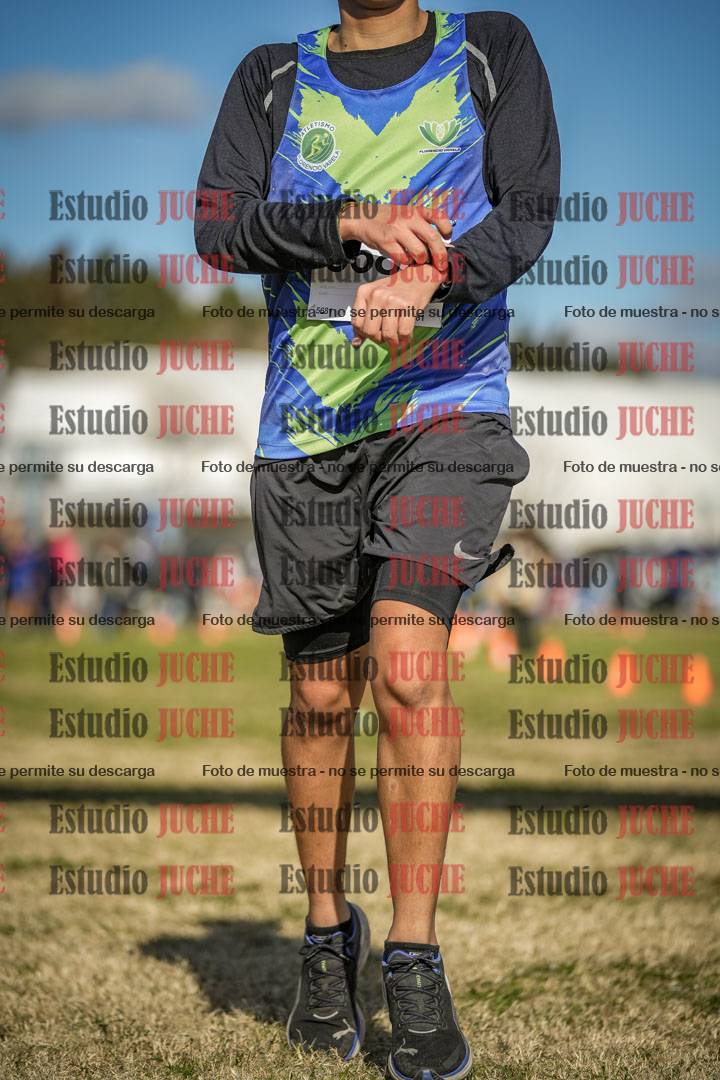 Fotos de las llegadas