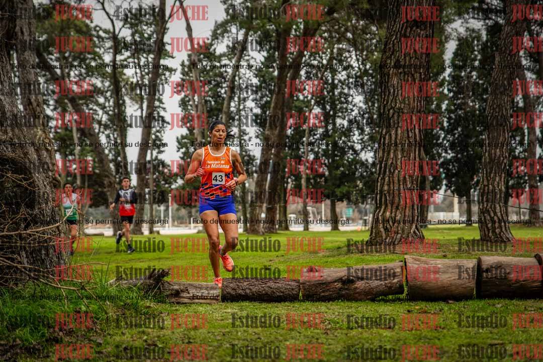 Fotos en el circuito