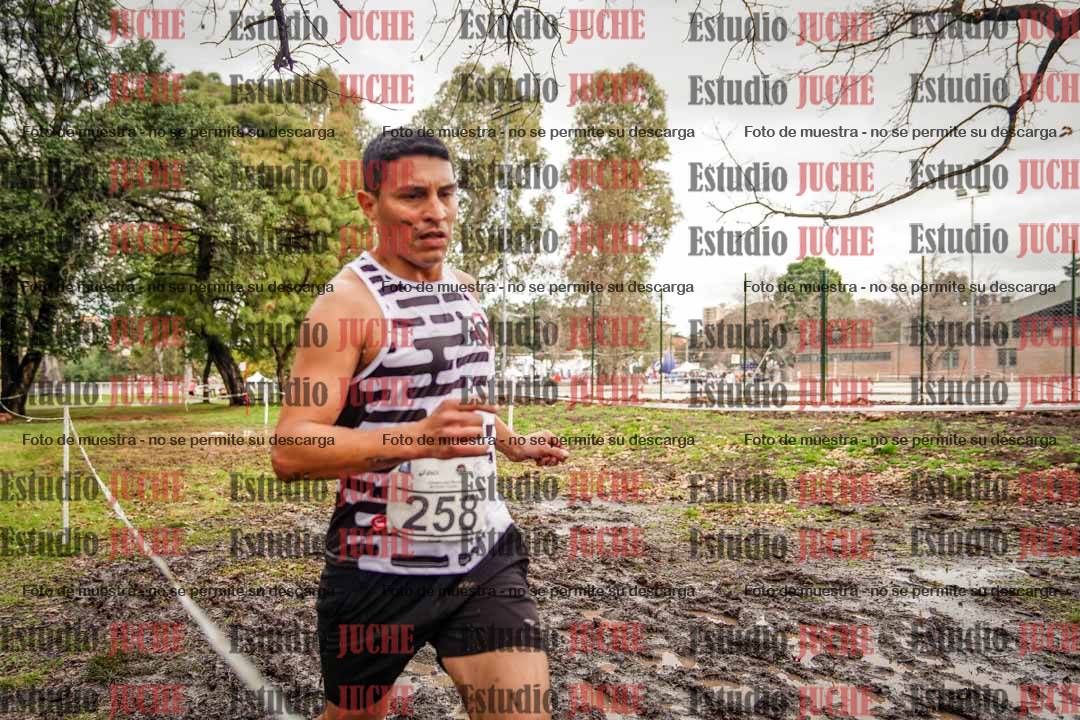 Fotos en el circuito