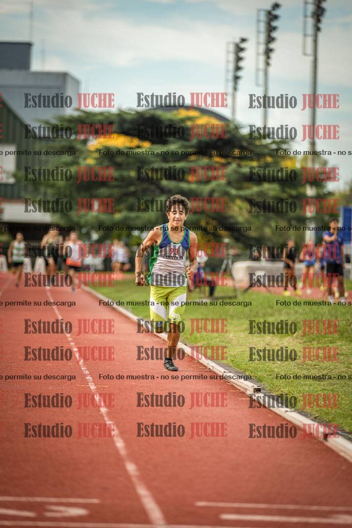 Fotos de los 800 m llanos de varones
