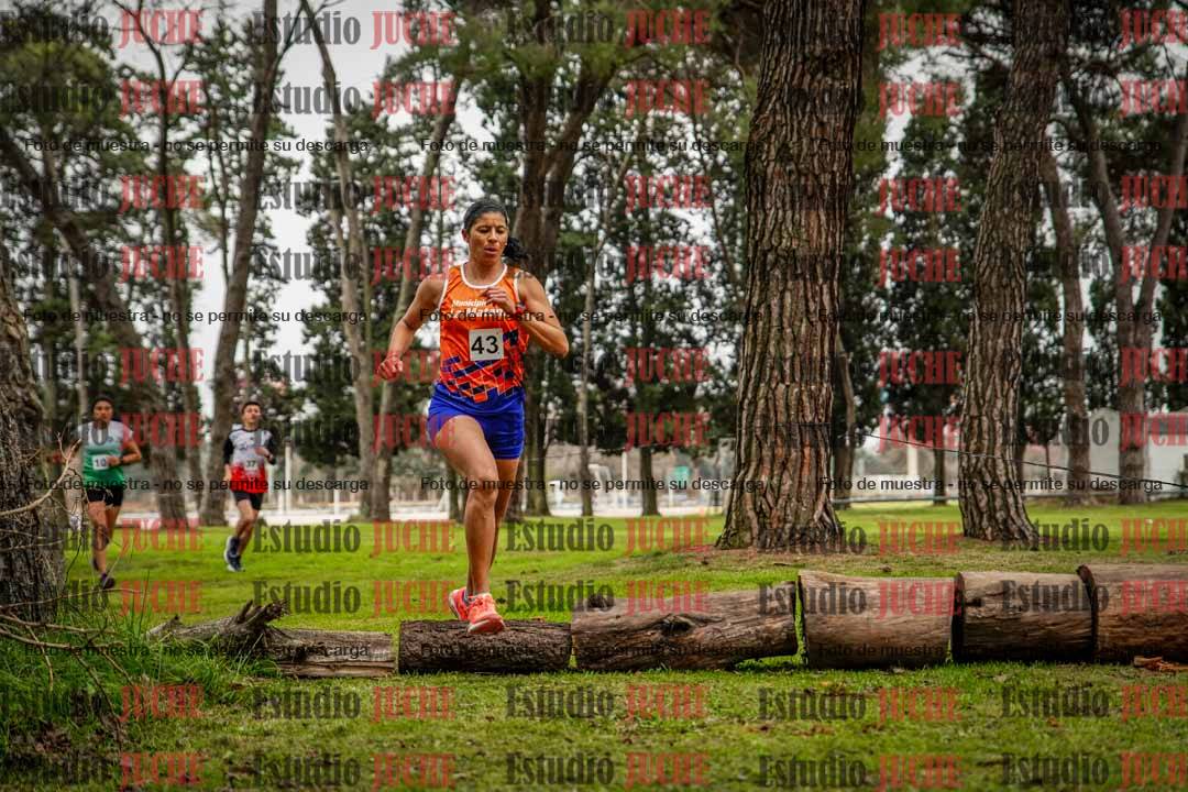 Fotos en el circuito
