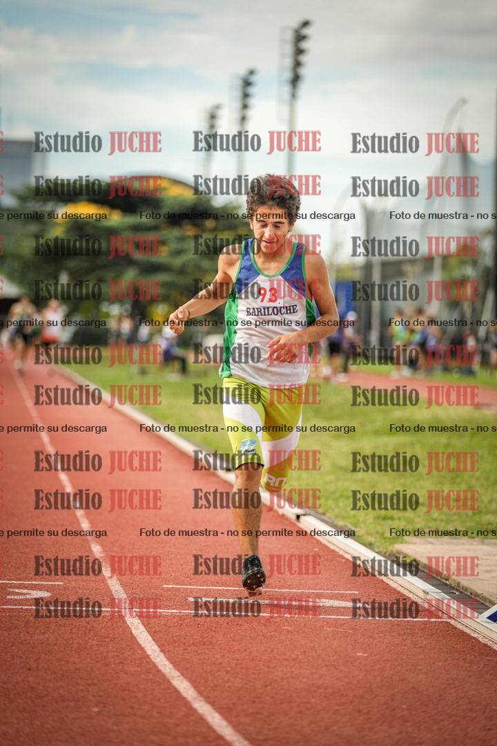 Fotos de los 800 m llanos de varones
