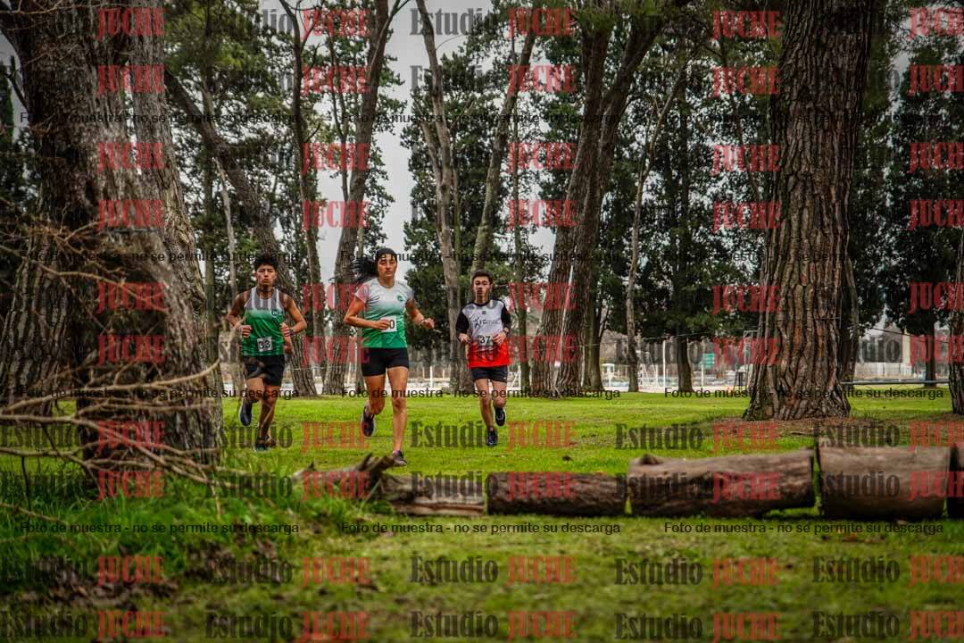 Fotos en el circuito