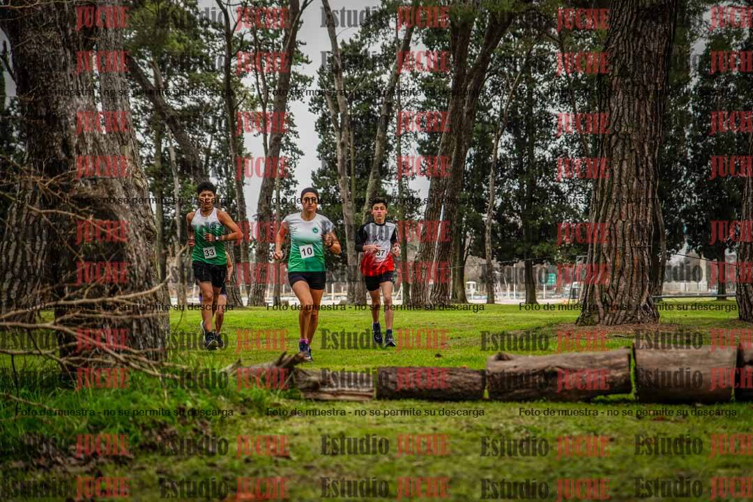 Fotos en el circuito