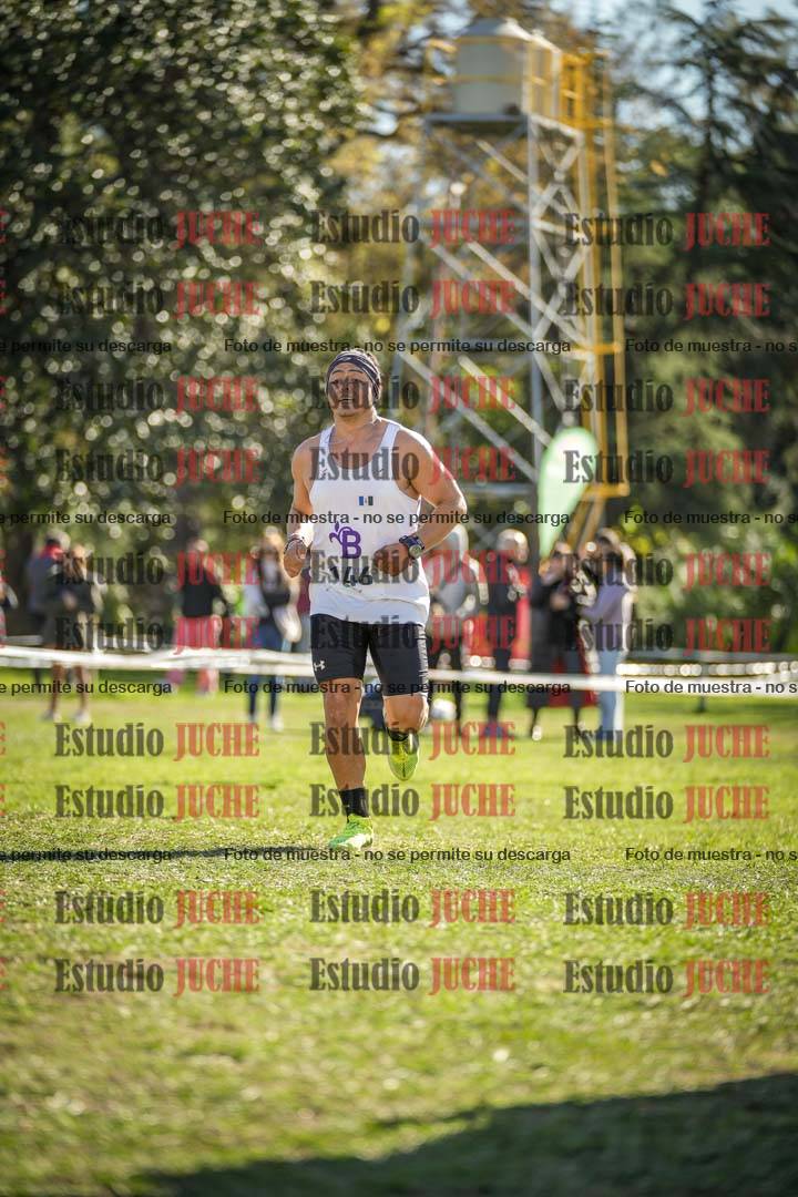 Fotos de la llegada del cross de 8000 m