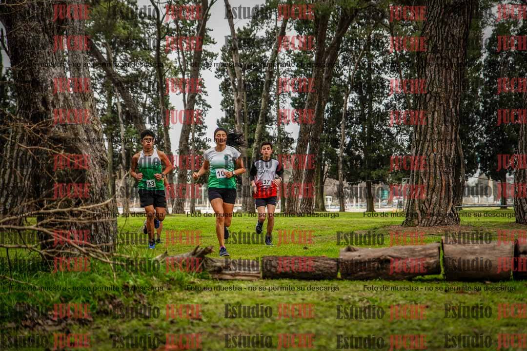 Fotos en el circuito