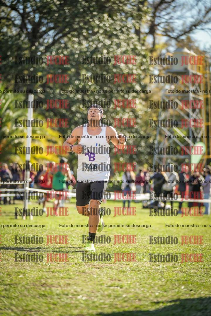 Fotos de la llegada del cross de 8000 m
