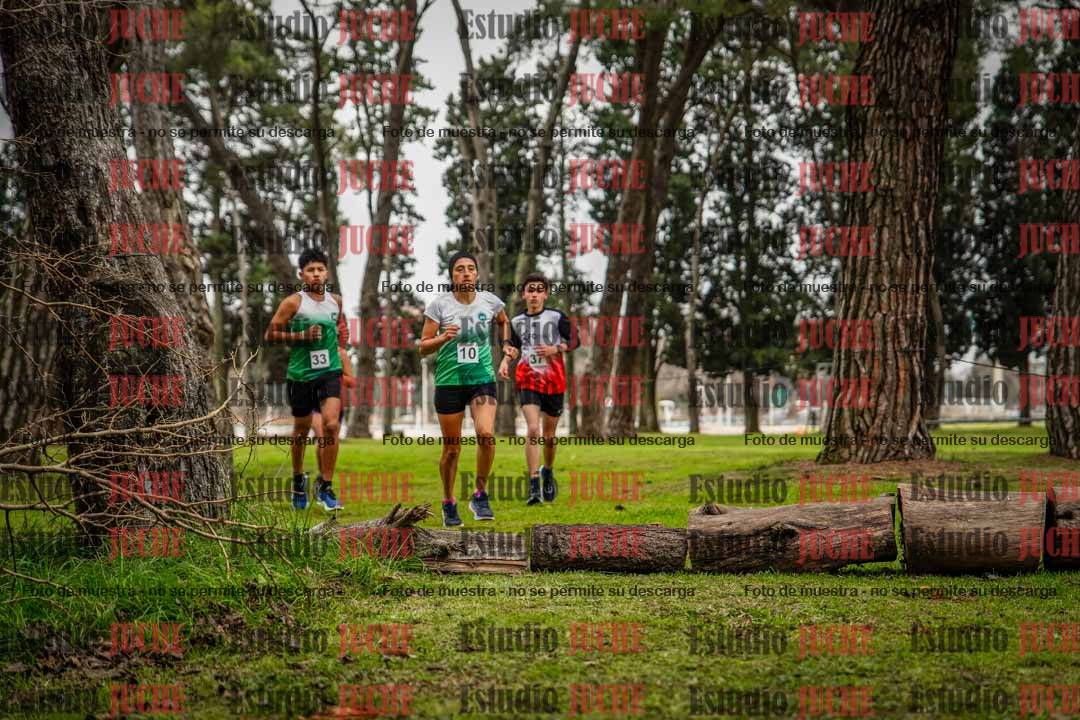 Fotos en el circuito