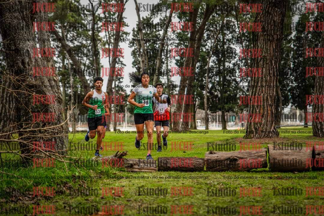 Fotos en el circuito