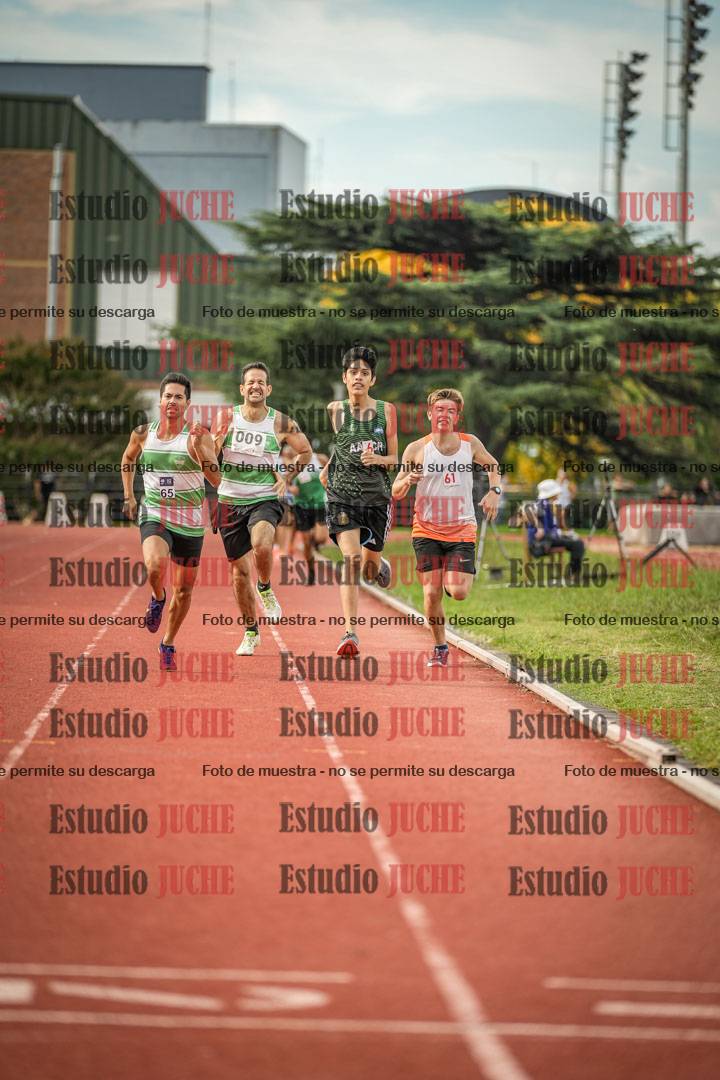 Fotos de los 800 m llanos de varones