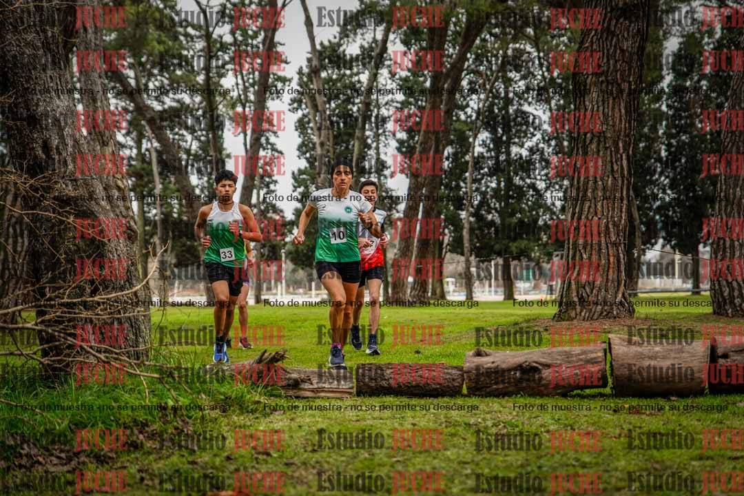 Fotos en el circuito