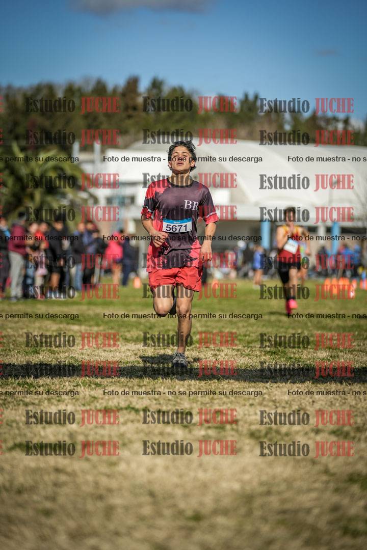 Fotos de las llegadas