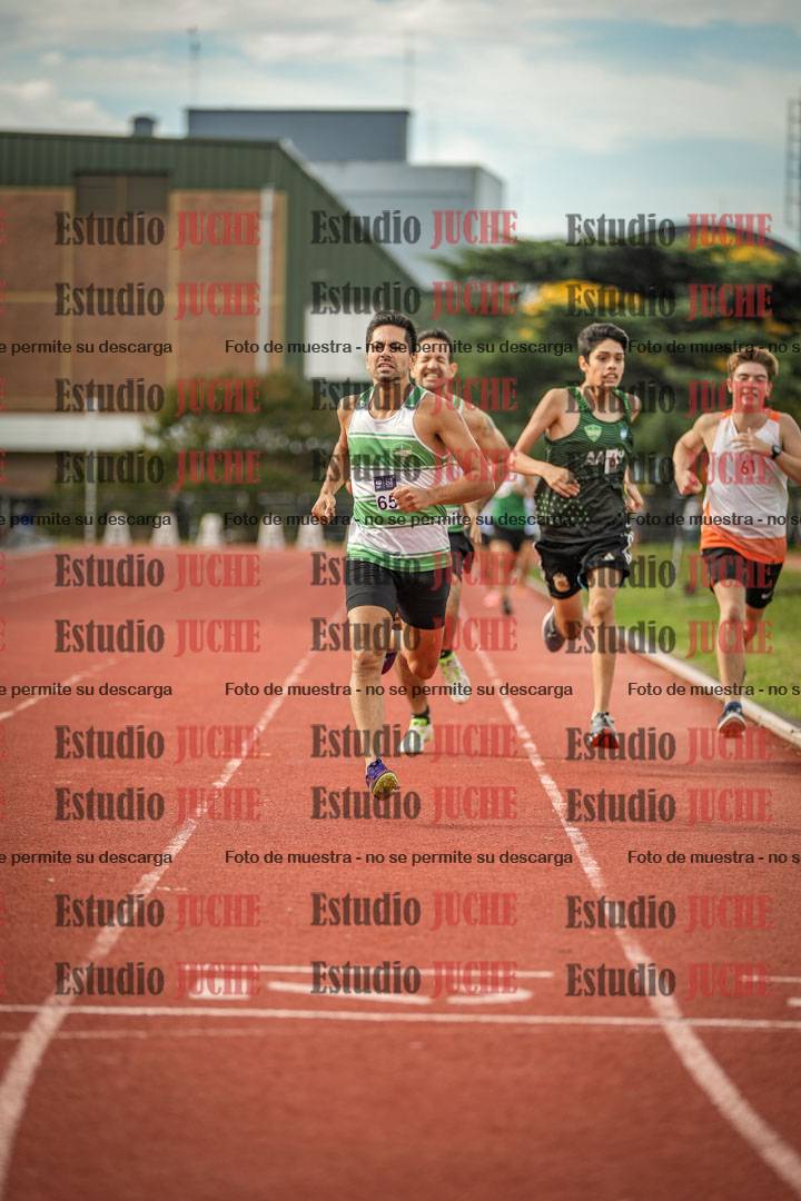 Fotos de los 800 m llanos de varones
