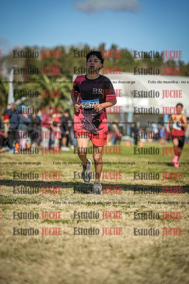 Fotos de las llegadas