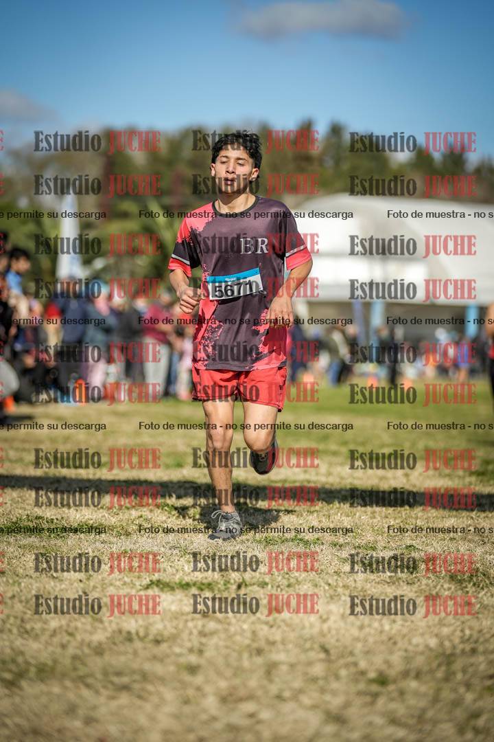 Fotos de las llegadas