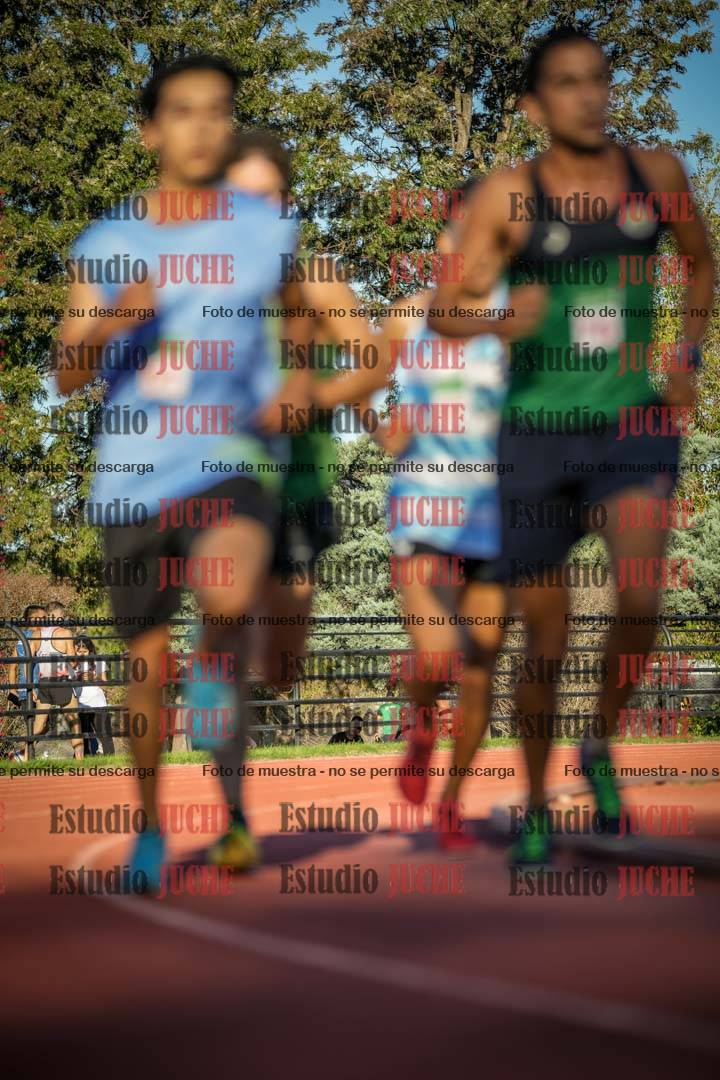 Fotos de los 3000 m llanos de varones