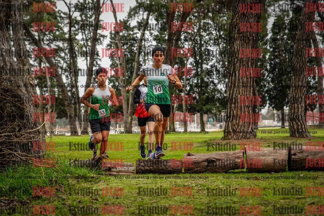 Fotos en el circuito