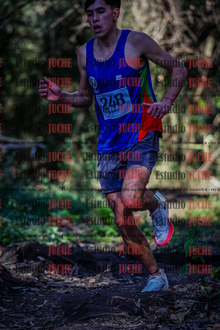 Fotos en el sexto punto del circuito