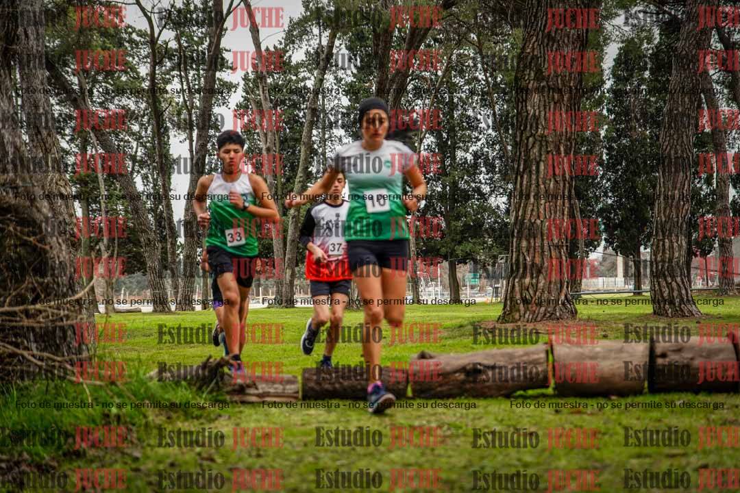Fotos en el circuito