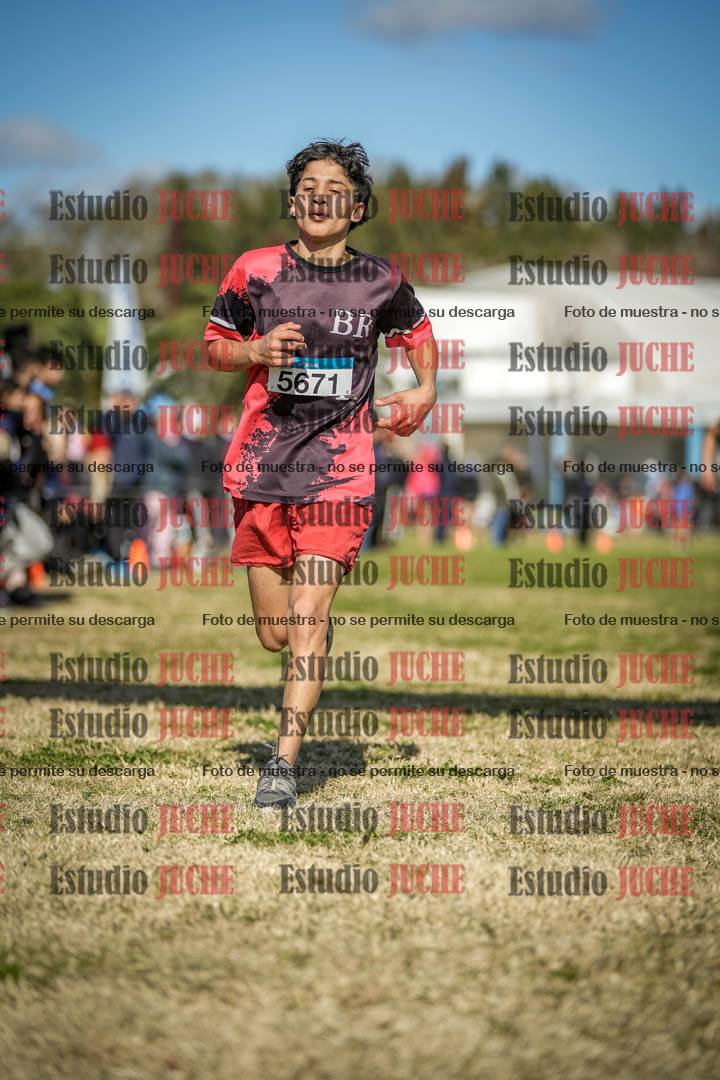 Fotos de las llegadas
