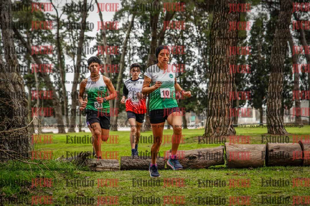 Fotos en el circuito