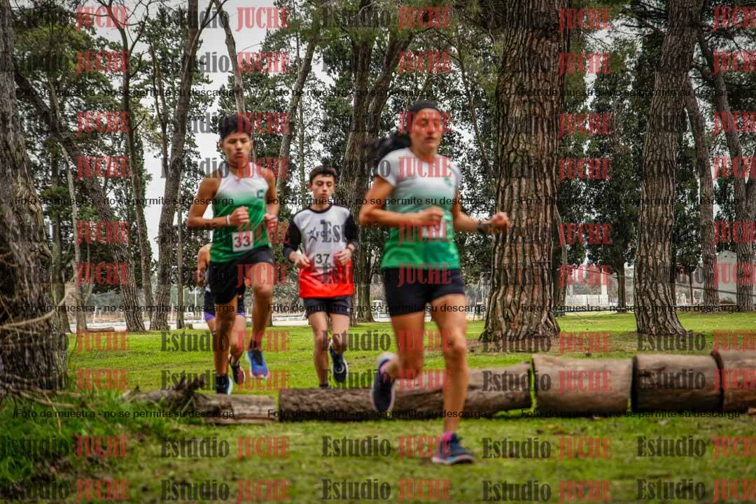 Fotos en el circuito