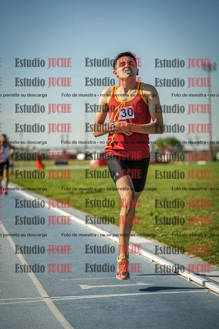 Fotos de los 1500 m llanos de varones