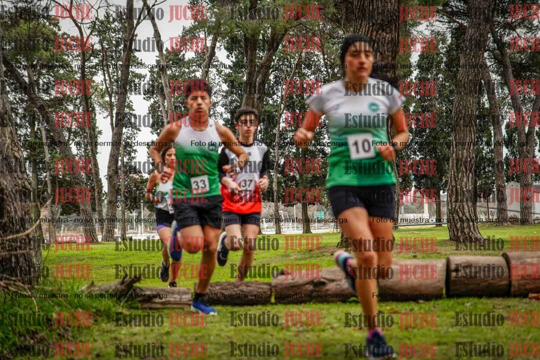 Fotos en el circuito