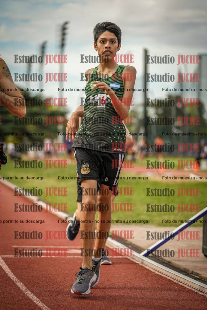Fotos de los 800 m llanos de varones