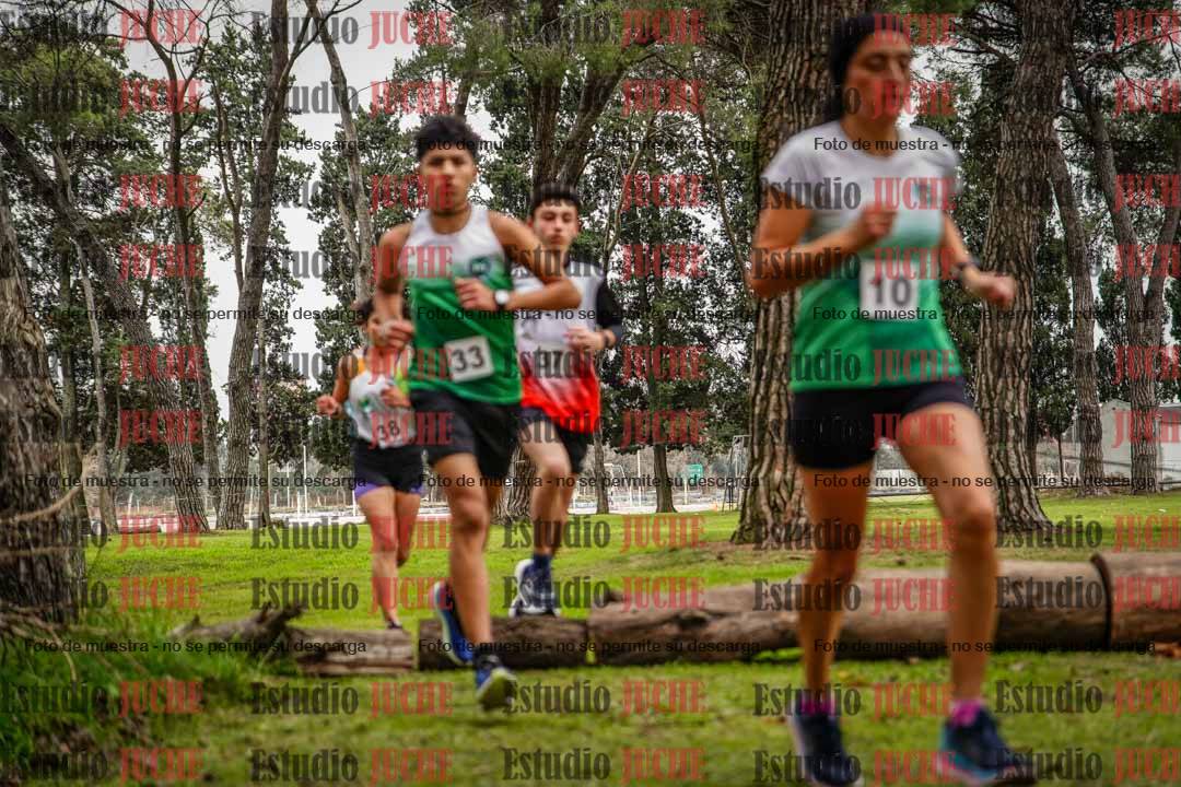 Fotos en el circuito