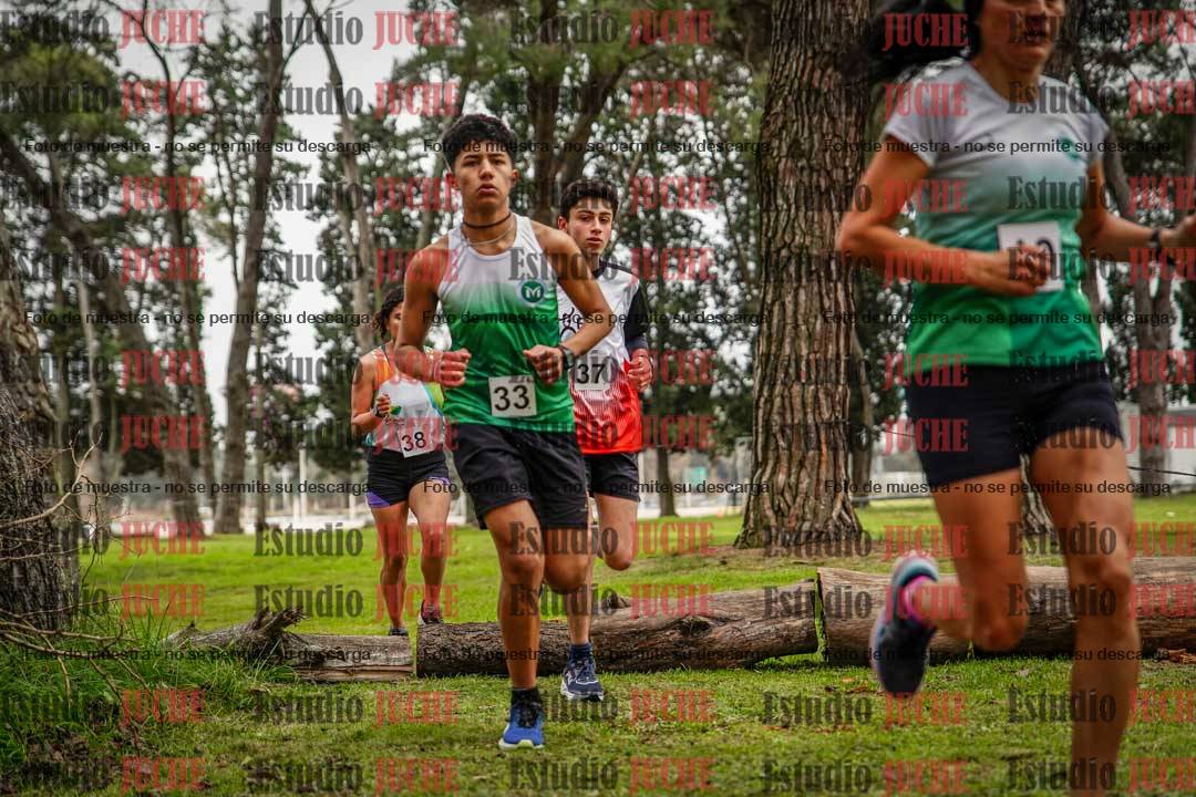 Fotos en el circuito