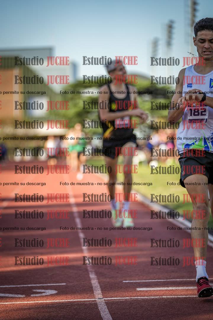 Fotos de los 1500 m de varones