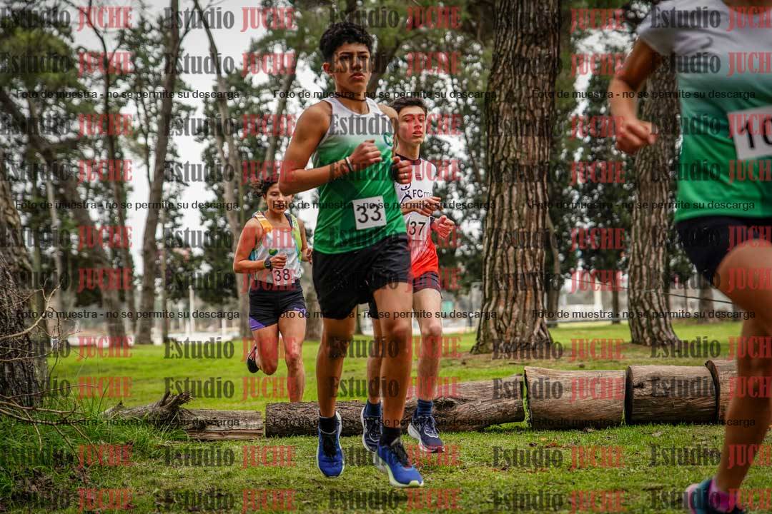 Fotos en el circuito