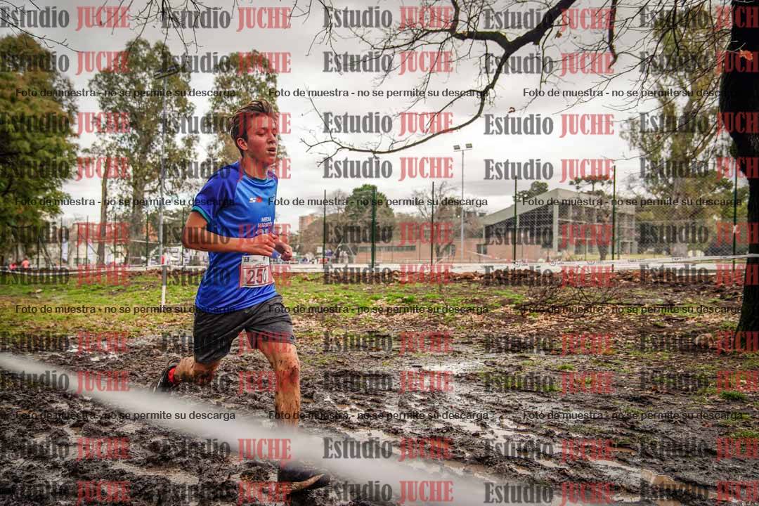 Fotos en el circuito