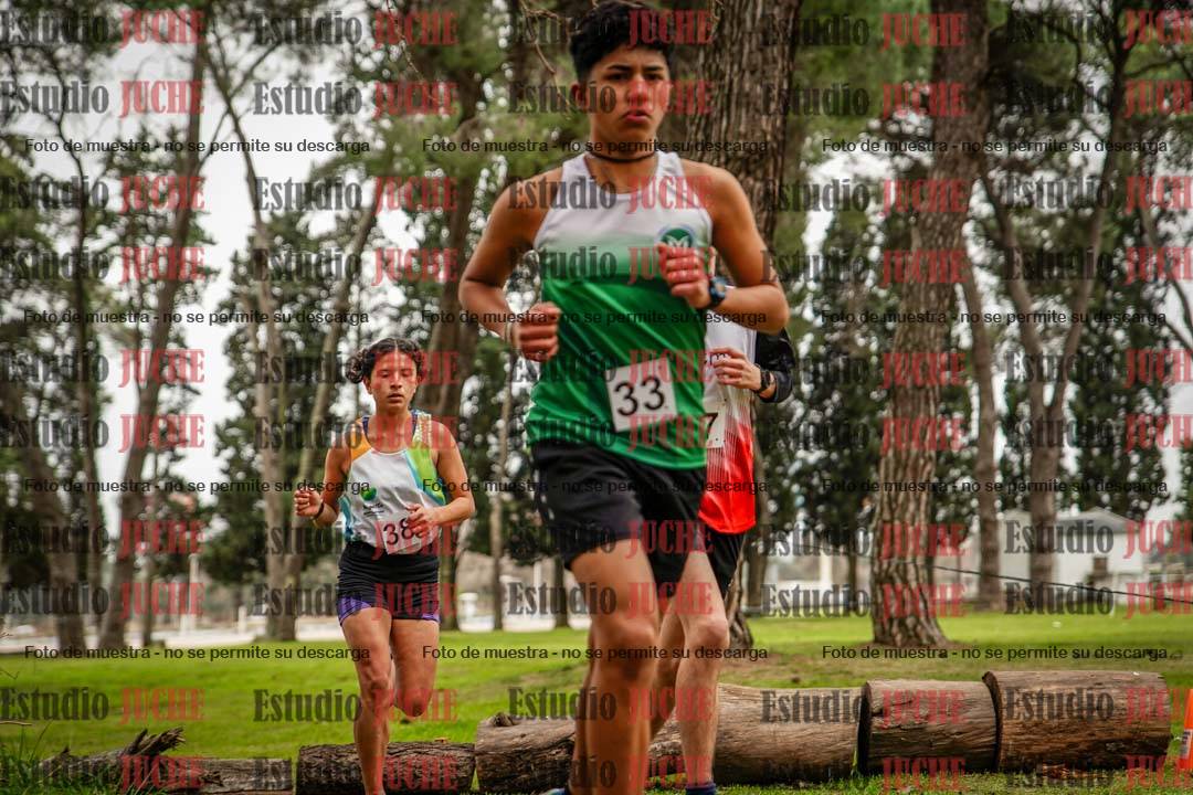 Fotos en el circuito