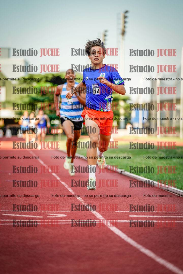 Fotos de los 1500 m llanos de varones
