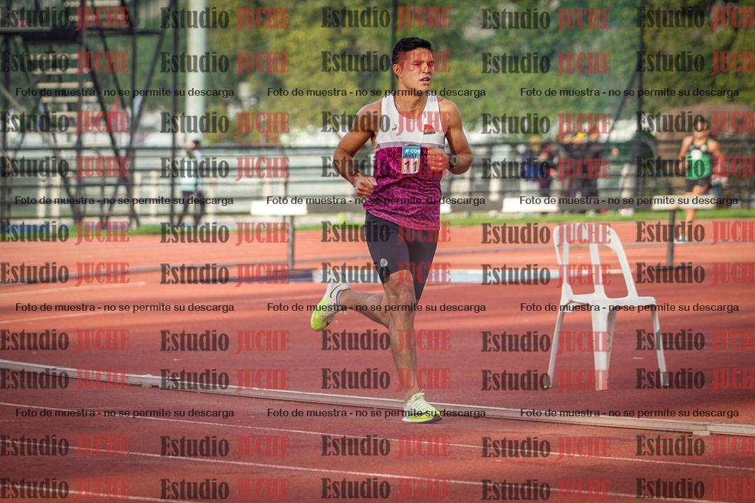 Fotos de los 3000 m llanos de varones
