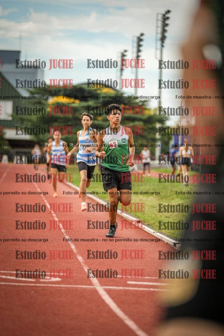 Fotos de los 800 m llanos de varones