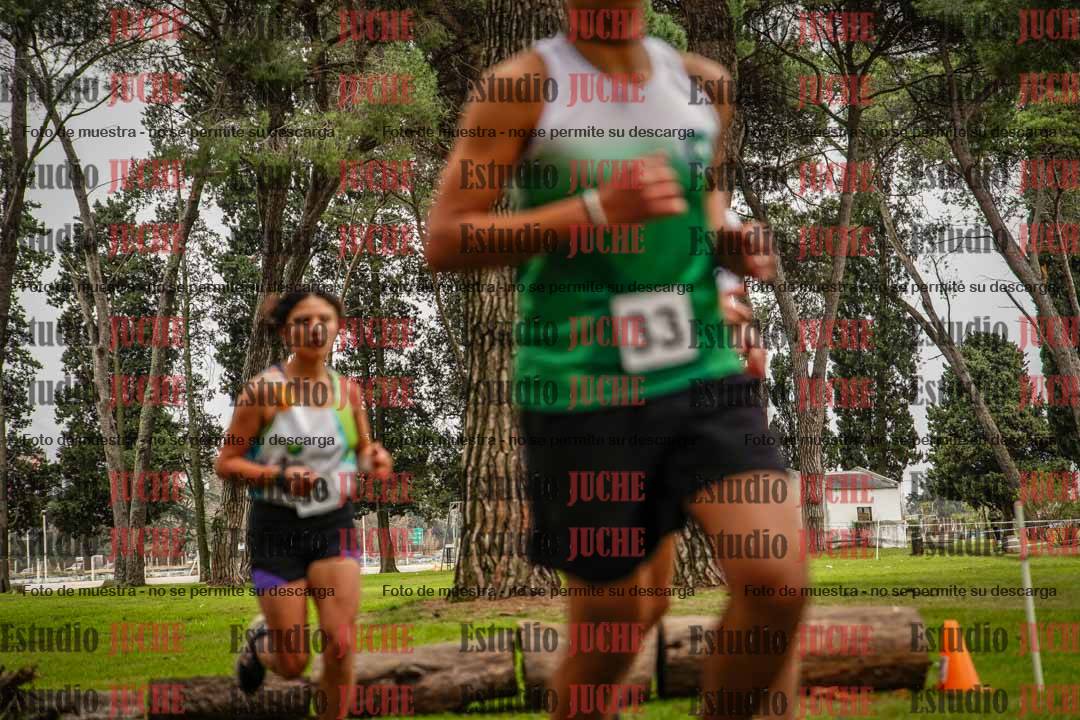 Fotos en el circuito