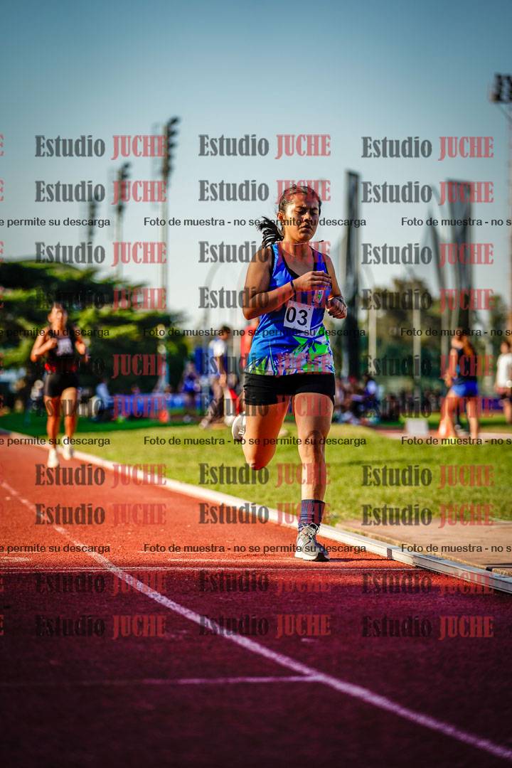 Fotos de los 1500 m de mujeres