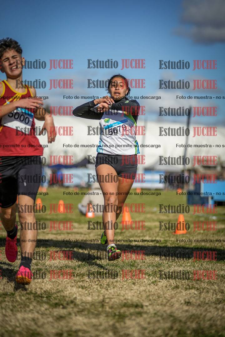 Fotos de las llegadas