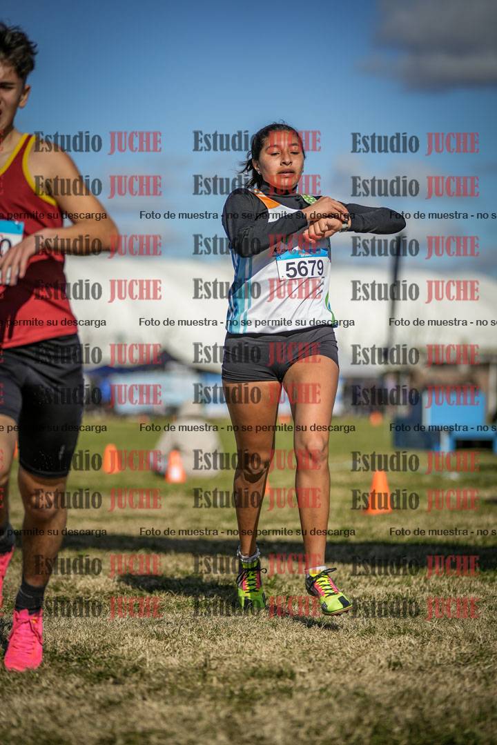 Fotos de las llegadas