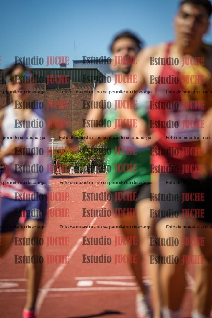 Fotos de los 1500 m de varones