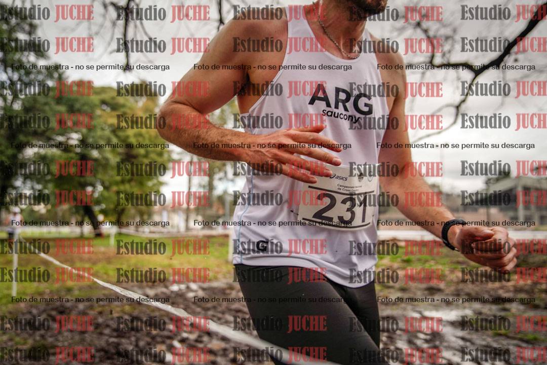 Fotos en el circuito
