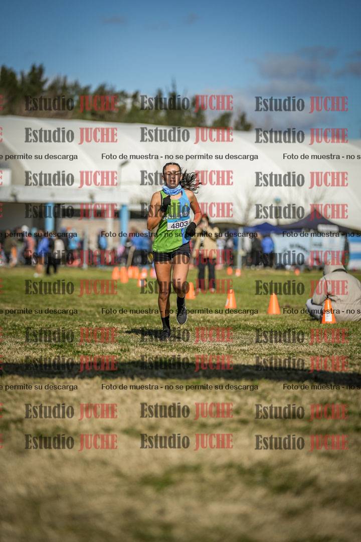 Fotos de las llegadas
