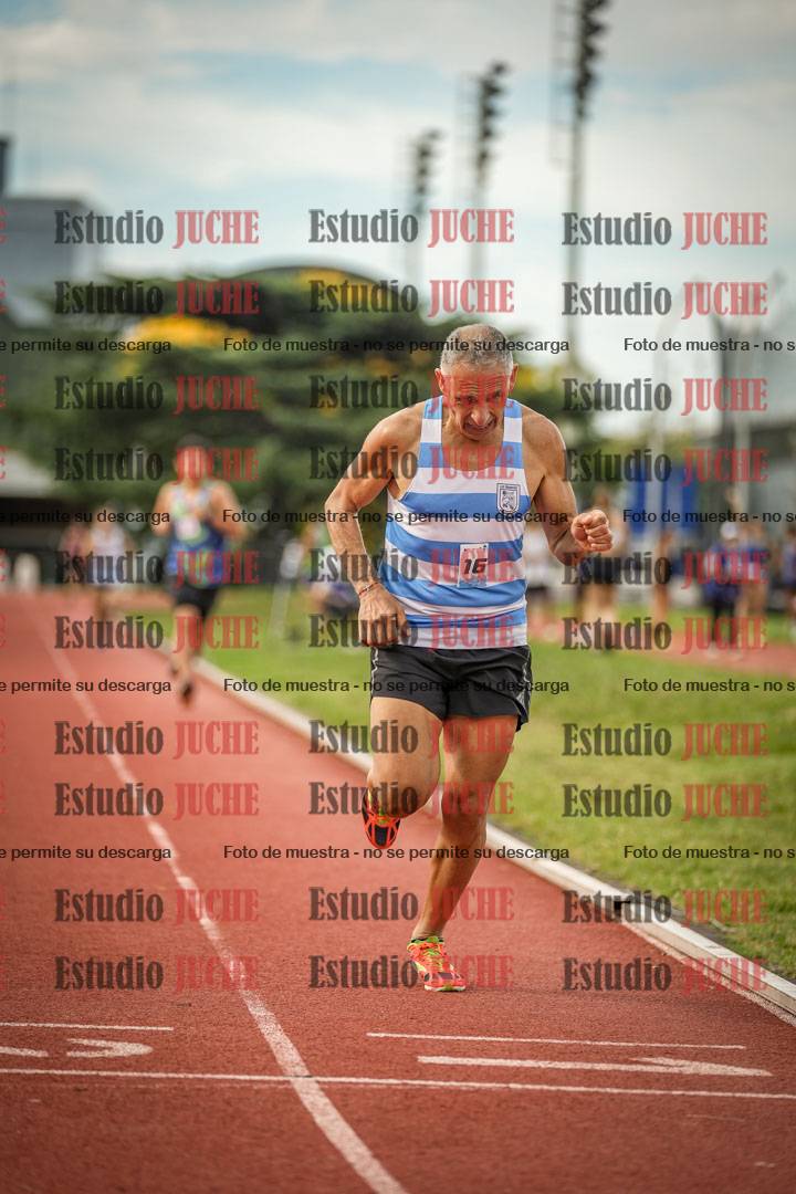 Fotos de los 800 m llanos de varones