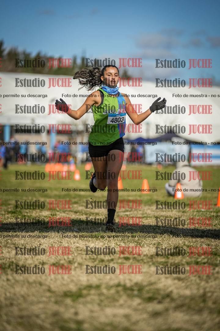 Fotos de las llegadas