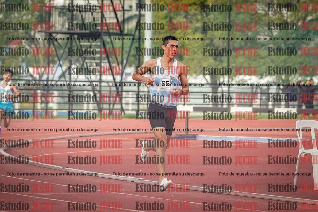 Fotos de los 3000 m llanos de varones