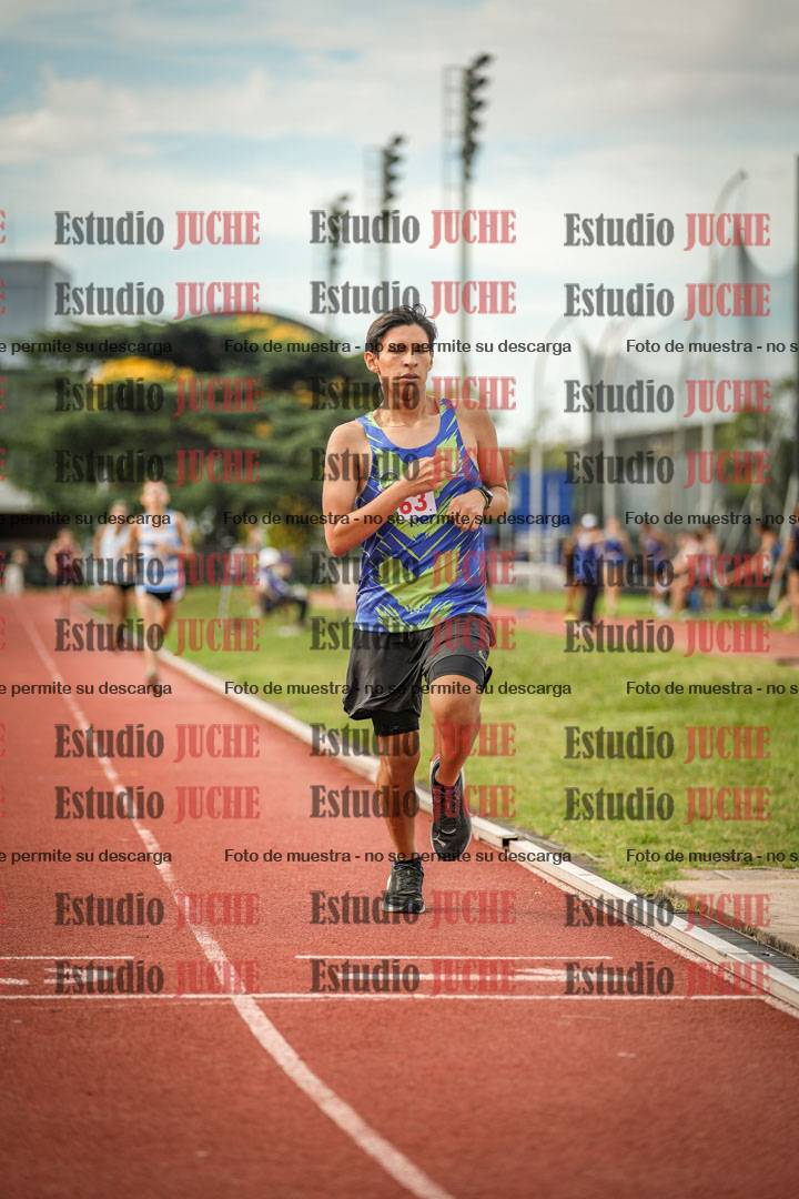Fotos de los 800 m llanos de varones